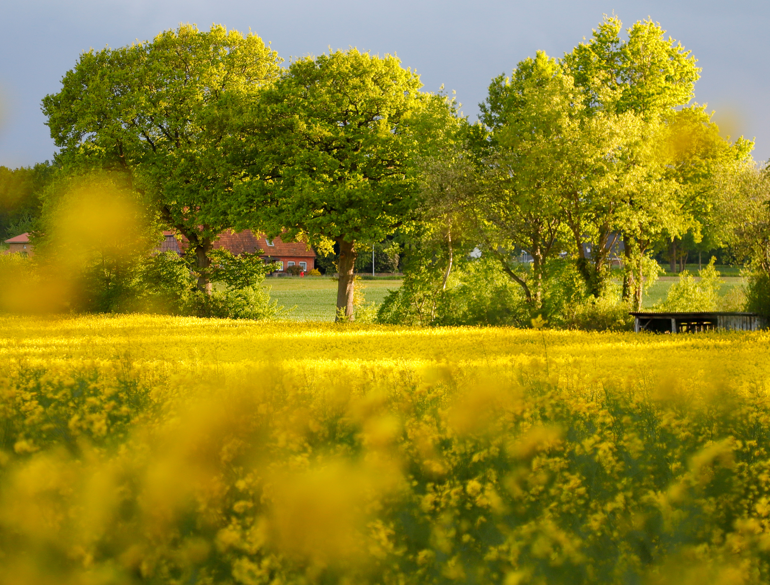 Natur