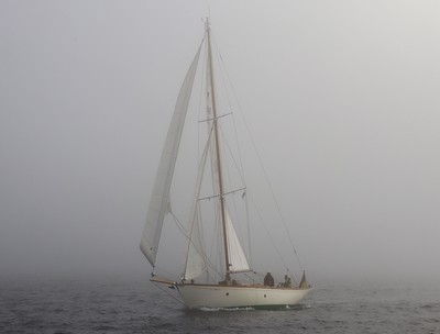 Nebelreise