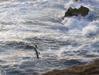 Nazaré