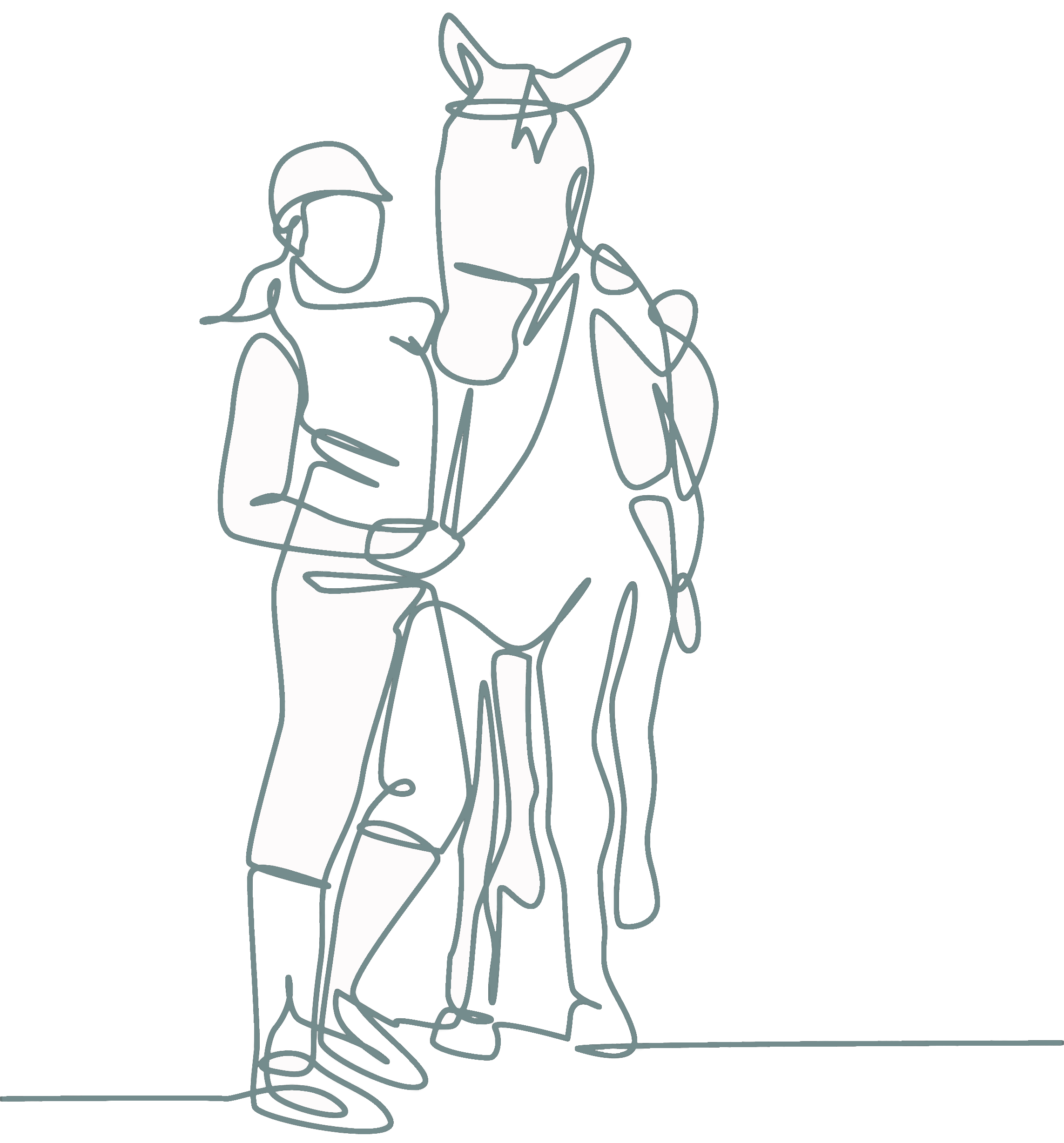 Coaching mit Pferden
