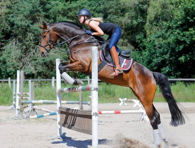 Springreiten